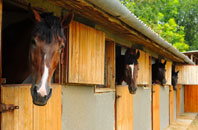 free Stillingfleet stable construction quotes
